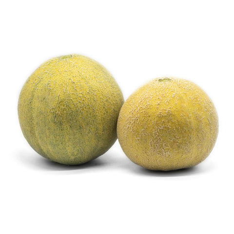 Melon (UNI)