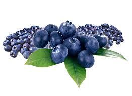 Blueberries (BANDEJA)