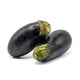 Berenjena Negra (LB)