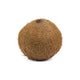 Coco (UNI)