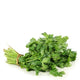 Cilantro (Bandeja)