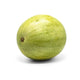 Sandia Mediana (UNI)
